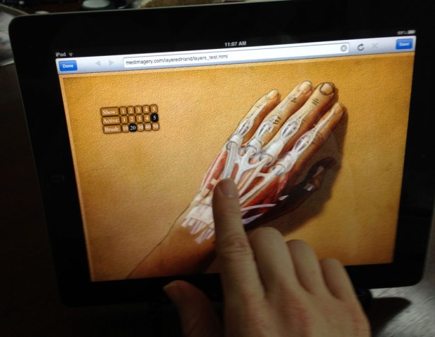 hand_anatomy_app